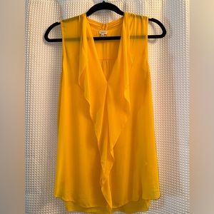 Aritzia 100% silk blouse